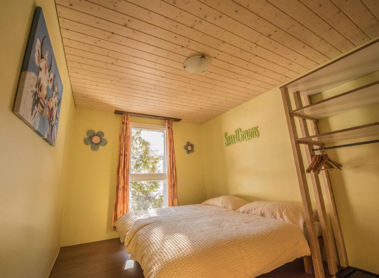 Хостел Schutzenbach Backpackers For Adults 18-35 Лаутербруннен Екстер'єр фото